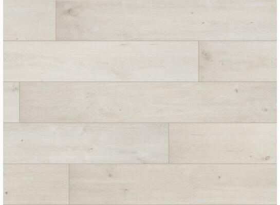 Panel Oak white mix AC4 8 mm