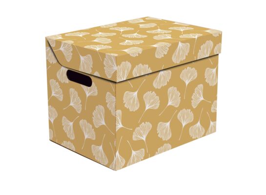 Pudło Miłorząb Beż 1szt