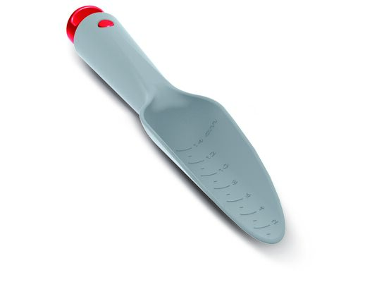 Łopatka mała szara