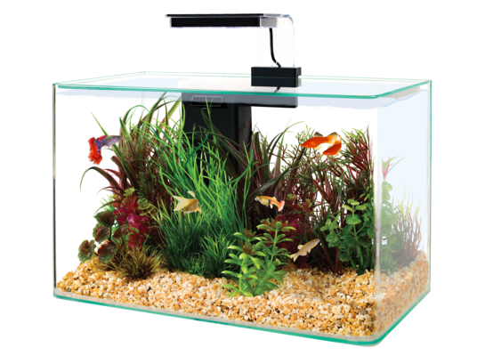 Zestaw akwarystyczny AQUA CLEAR 400 x 200 x 330 mm czarny Zolux