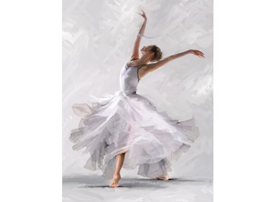 Obraz Canvas 60 x 80 C EX315 DANCER2