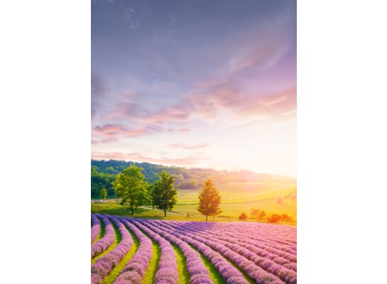 Obraz Glasspik Nature 50 x 70 GL330 TUSCAN