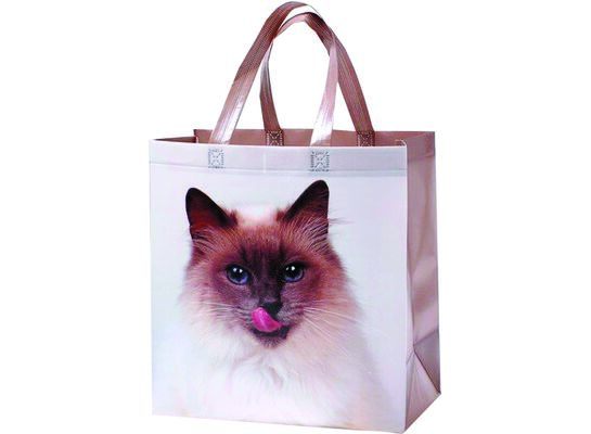 Torba na zakupy 32 x 34 x 17 cm CAT