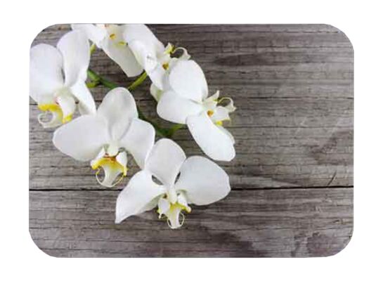 Mata dwustronna laminowana 28,5 x 38.5 cm