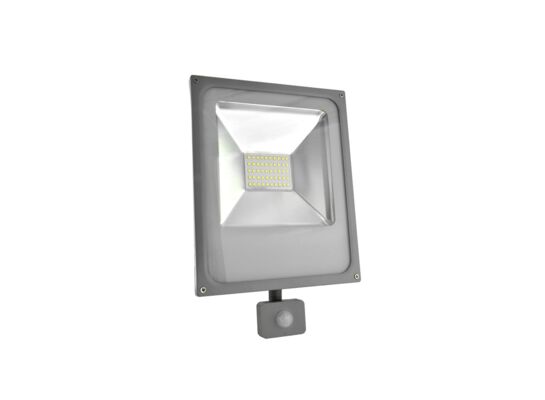 Naświetlacz LED Ralf 50W 840 z czujką ruchu PIR 4000K 2900lm szary INQ