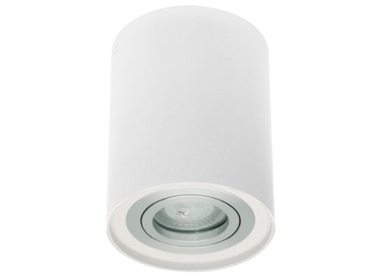 Oprawa sufitowa IVO 1W/AL. tuba biała aluminium OZZO