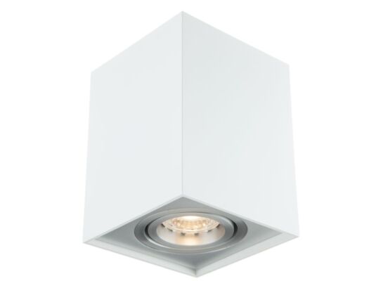 Oprawa sufitowa FABIO 1W/AL biały aluminium OZZO