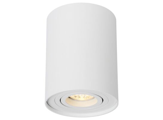 Oprawa sufitowa IVO 1W/W tuba biała OZZO