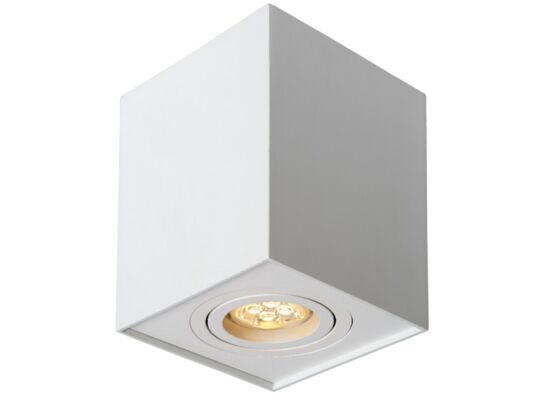 Oprawa sufitowa FABIO 1W/W biała OZZO