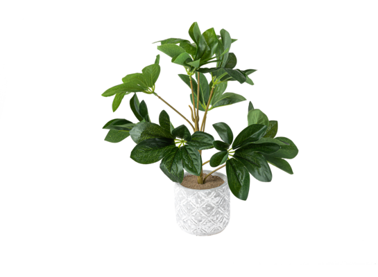 Sztuczna roślina 35 x 30 cm