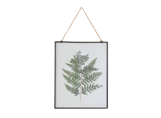 Obraz szklany CORT 20 x 25 cm czarna