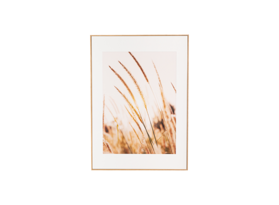 Obraz w ramie ARTBOX DIGI 50 x 70 cm AB078 GRASSES I