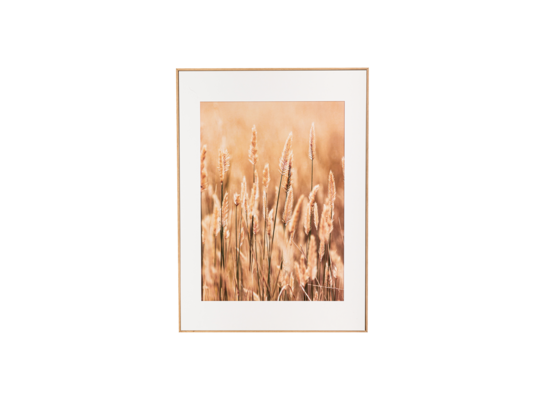 Obraz w ramie ARTBOX DIGI 50 x 70 cm AB079 GRASSES II