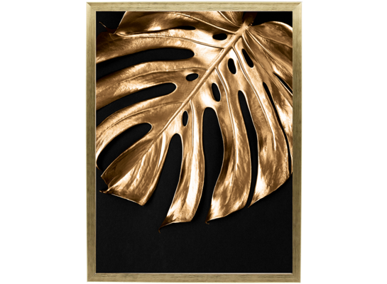 Fotografia "Monstera gold" 30 x 40 cm