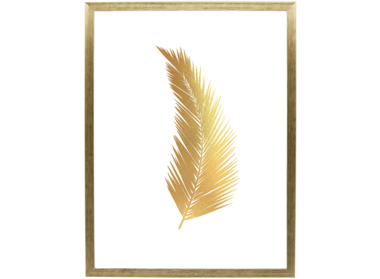 Fotografia "Feather gold" 30 x 40 cm