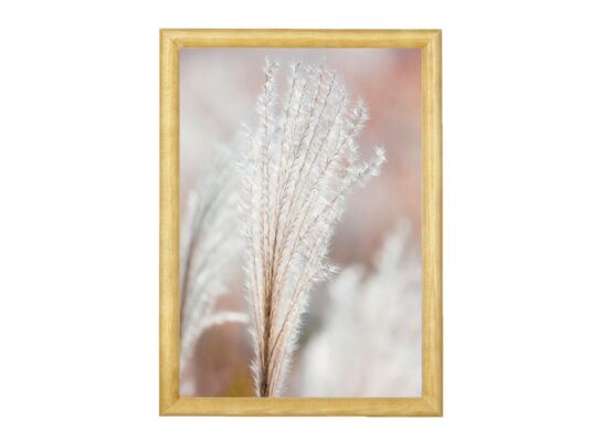 Fotografia w drewnianej ramce wałek 20 x 30 - Pliable grass