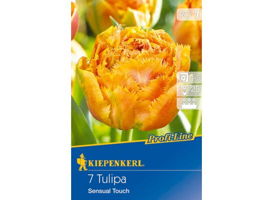 Cebule tulipanów Profi-Line Gefranste Tulpe Sensual Touch