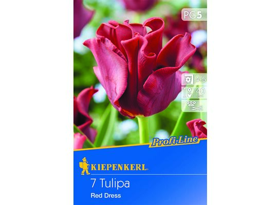 Cebule tulipanów Profi-Line Kronentulpe Red Dress