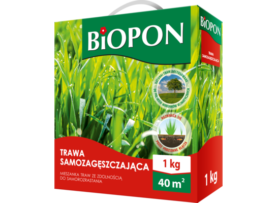 Trawa samozagęszczająca mieszanka kwalifikowana 1 kg Bopon