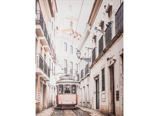Obraz na płótnie CANVAS 60 x 80 cm ST595 pink tram