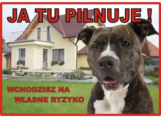 Tabliczka "Ja tu pilnuję" AMSTAFF Rokus