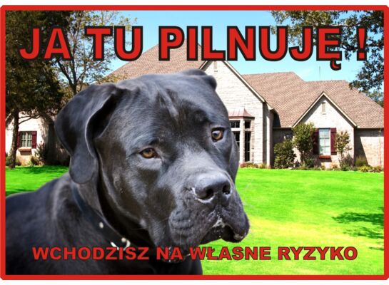Tabliczka "Ja tu pilnuję" MASTIFF Rokus