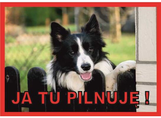 Tabliczka "Ja tu pilnuję" BORDER COLLIE Rokus