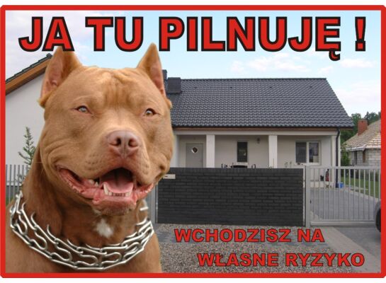 Tabliczka "Ja tu pilnuję" PITBULL Rokus