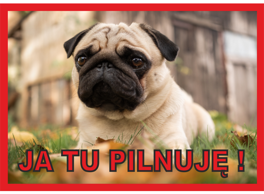 Tabliczka "Ja tu pilnuję" MOPS Rokus