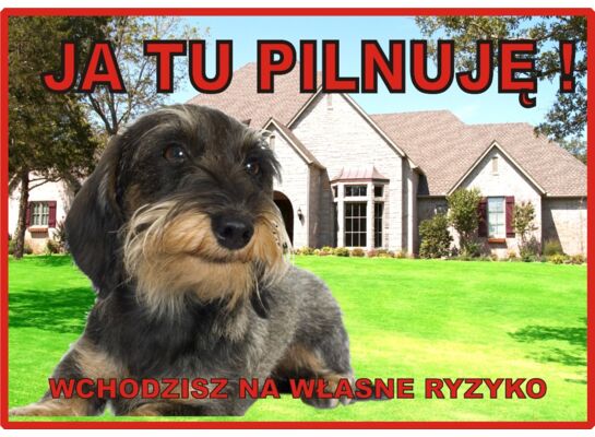 Tabliczka "Ja tu pilnuję" JAMNIK SZORSTKOWŁ. Rokus