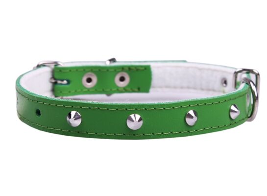 Obroża skóra ozdobiona ćwieki 18/50 cm zielona CHICO