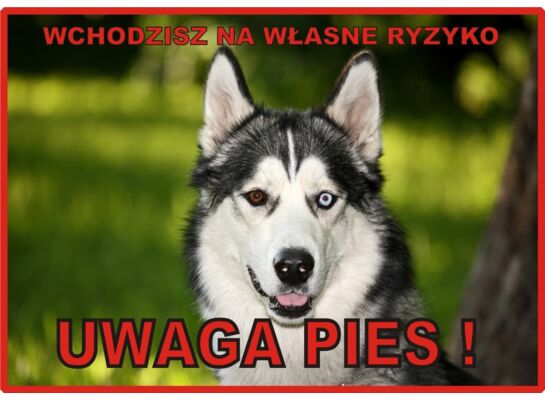 Tabliczka "Uwaga pies" HUSKY Rokus