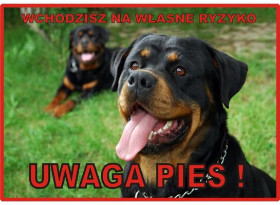 Tabliczka "Uwaga pies" ROTTWEILER Rokus