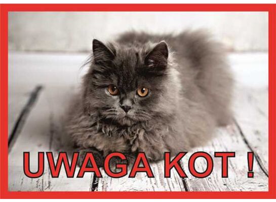 Tabliczka "Uwaga kot" PERS Rokus