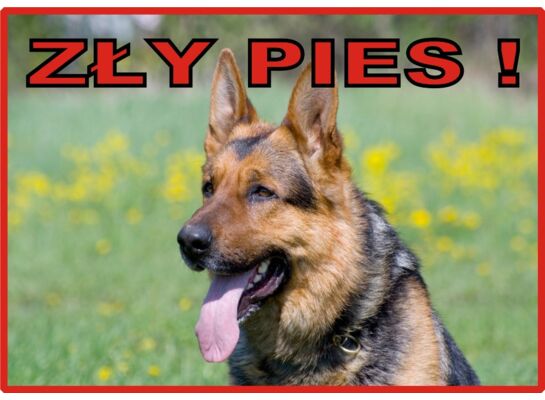 Tabliczka "Uwaga pies" OWCZAREK-ZŁY PIES Rokus