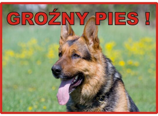 Tabliczka "Uwaga pies" OWCZAREK-GROŹNY PIES Rokus