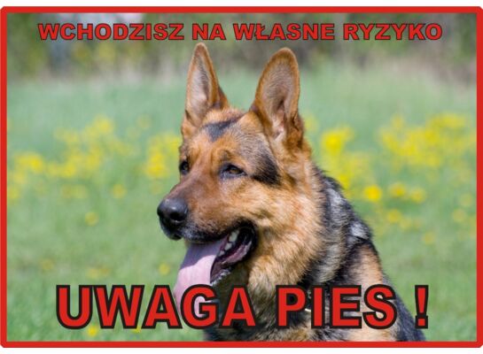 Tabliczka "Uwaga pies" OWCZAREK NIEMIECKI Rokus