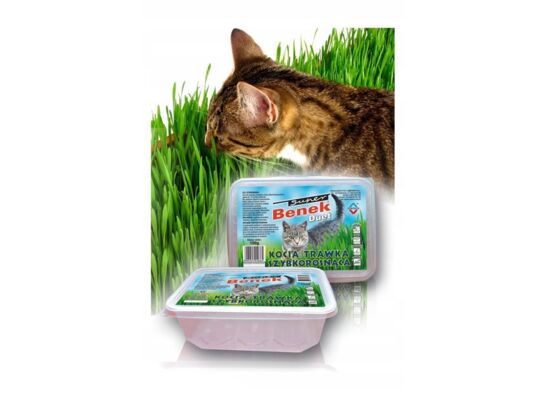 Trawa szybkorosnąca 150 g Certech