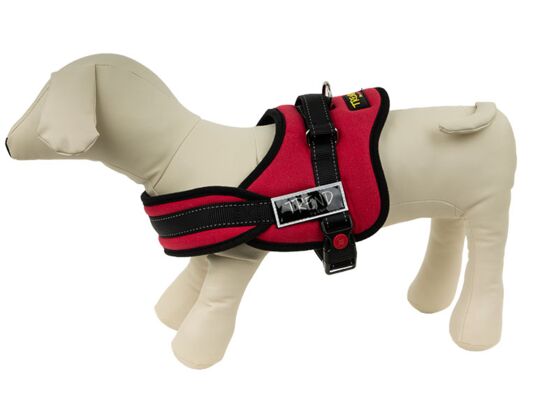 Szelki K-TYPE S 60-70 cm czerwone TREND