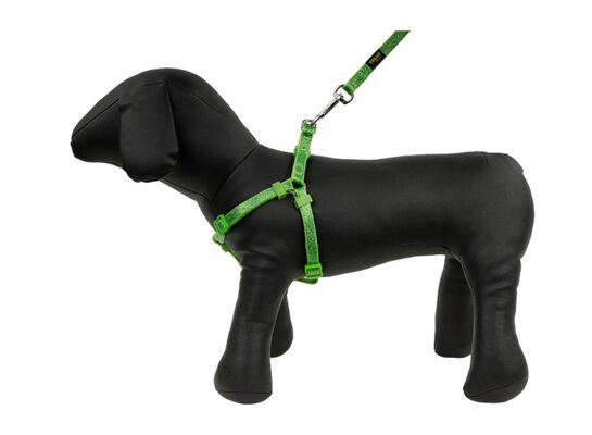 Szelki + smycz KOT,M.PIES 20-36 cm/1,2 m zielone TREND