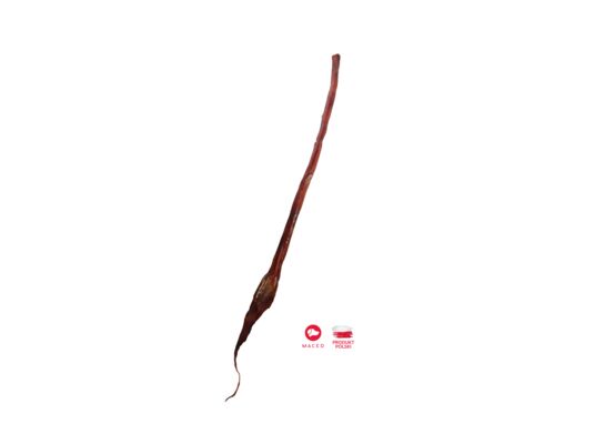 Przysmak suszony penis wołowy cały 70 cm 140 g Maced
