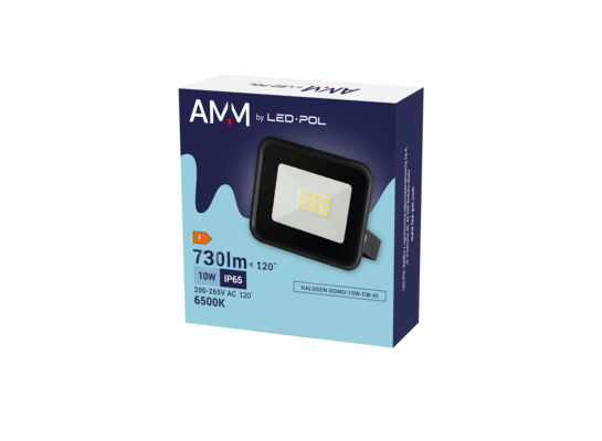 Naświetlacz LED Halogen Domo 10 W zimna biel CW III