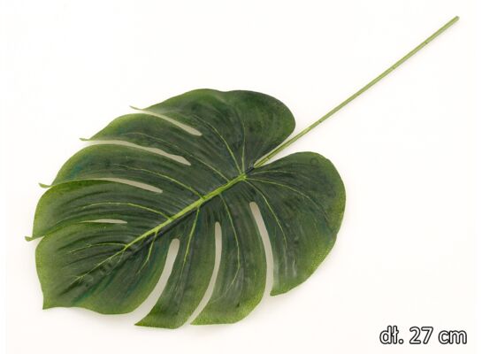 Liść monstery pojedynczy