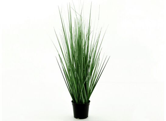 Trawa w doniczce 60 cm