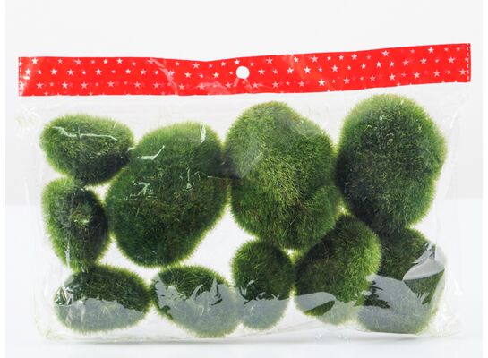 Kamienie omszałe 10 cm