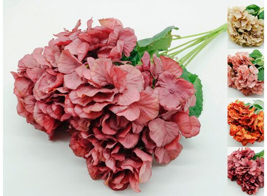 Bukiet hortensji x 12