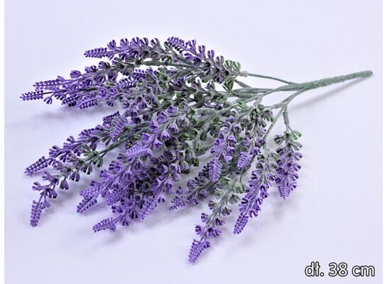 Lawenda bukiet x 6