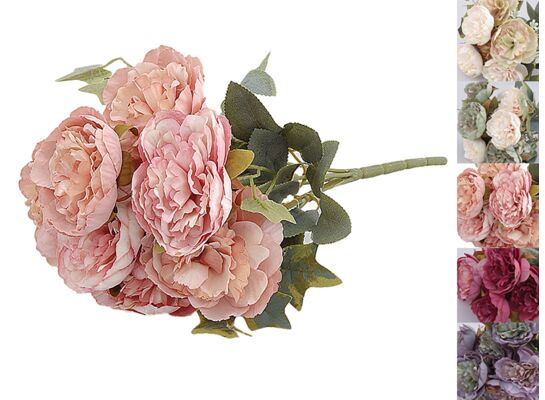 Peonia bukiet x 7