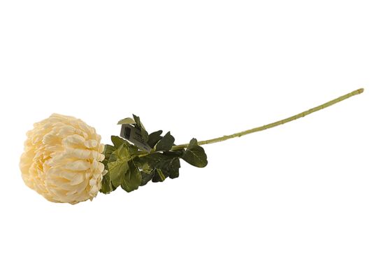 Chryzantema pojedyncza 75 cm żółta