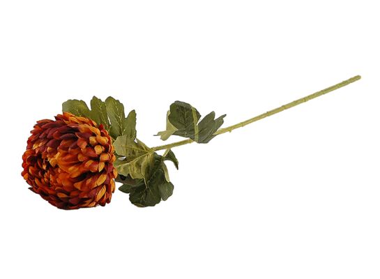 Chryzantema pojedyncza 75 cm pomarańczowo-brązowa